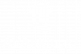 White logo - no background